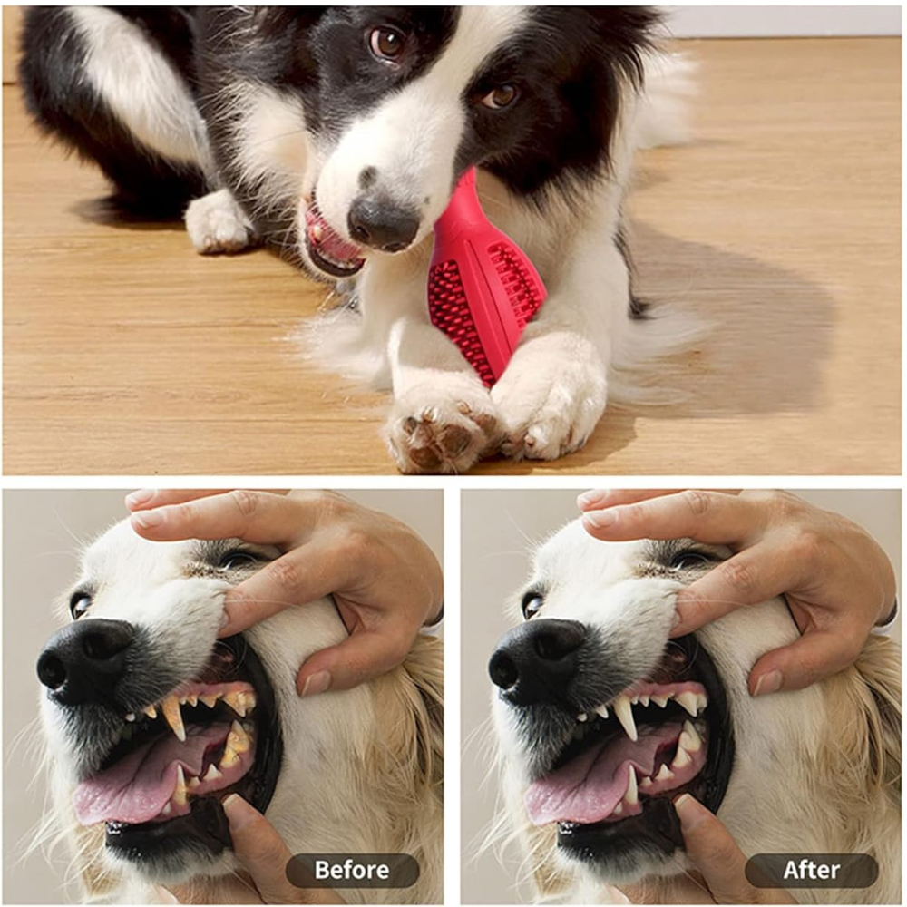 Bowling Ball Shaped Dog Chew Toy