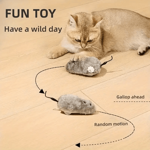 Wind-Up Interactive Cat Mouse Toy