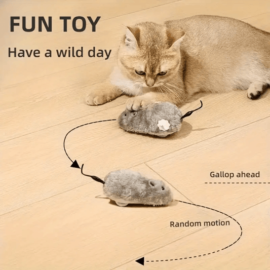 Wind-Up Interactive Cat Mouse Toy