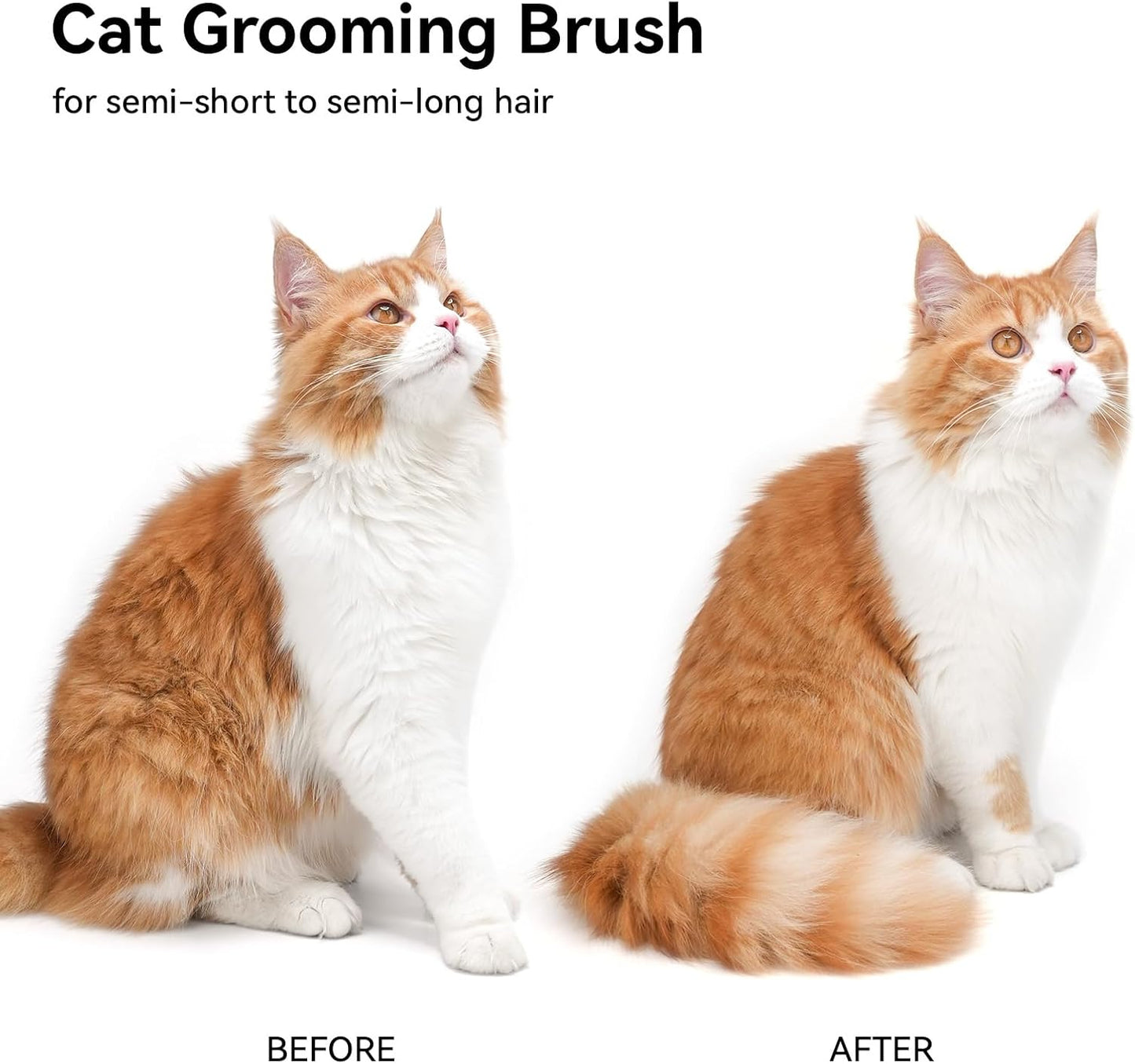 Blisbre® Pet Spray Comb