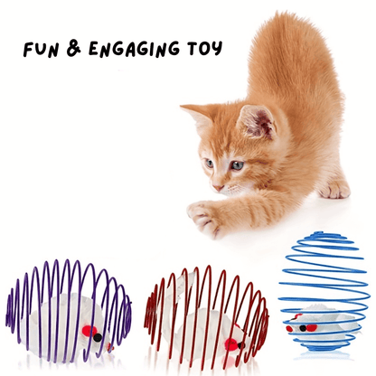 Interactive Cat Spring Toy Set