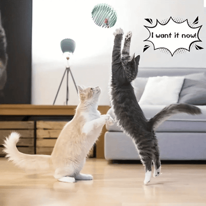Interactive Cat Spring Toy Set