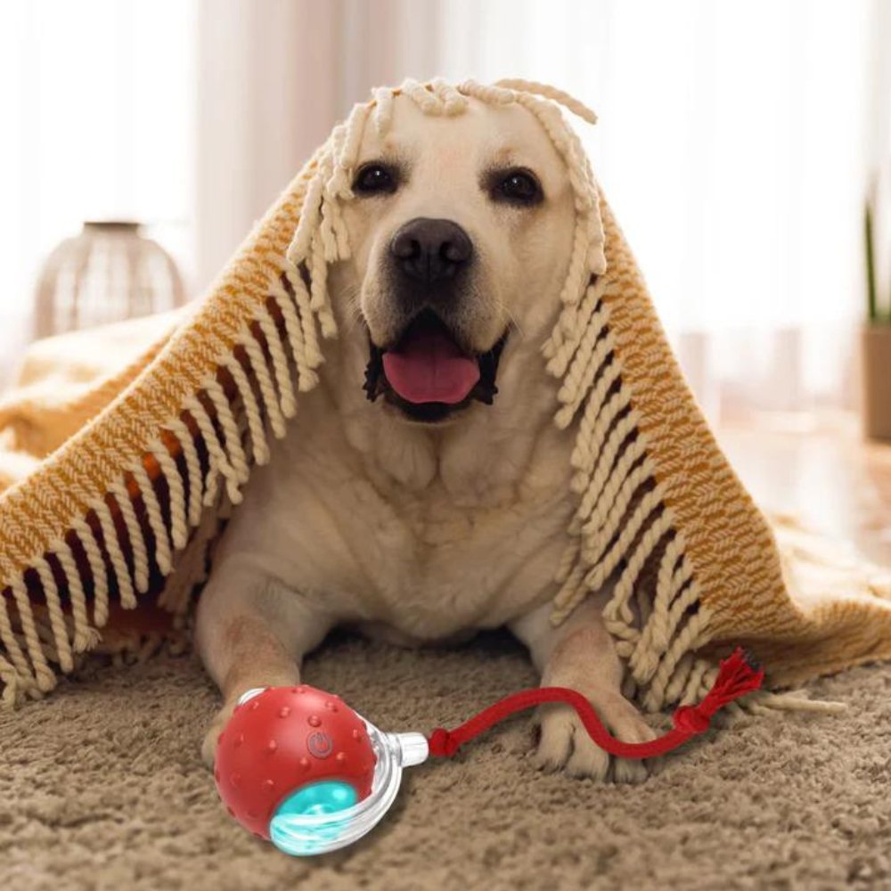 Blisbre • Rolling Ball Toy