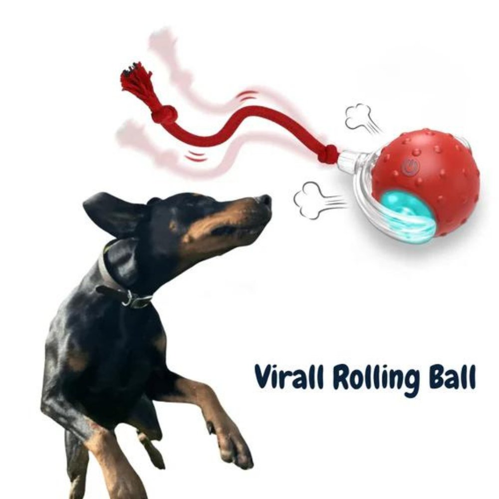 Blisbre • Rolling Ball Toy