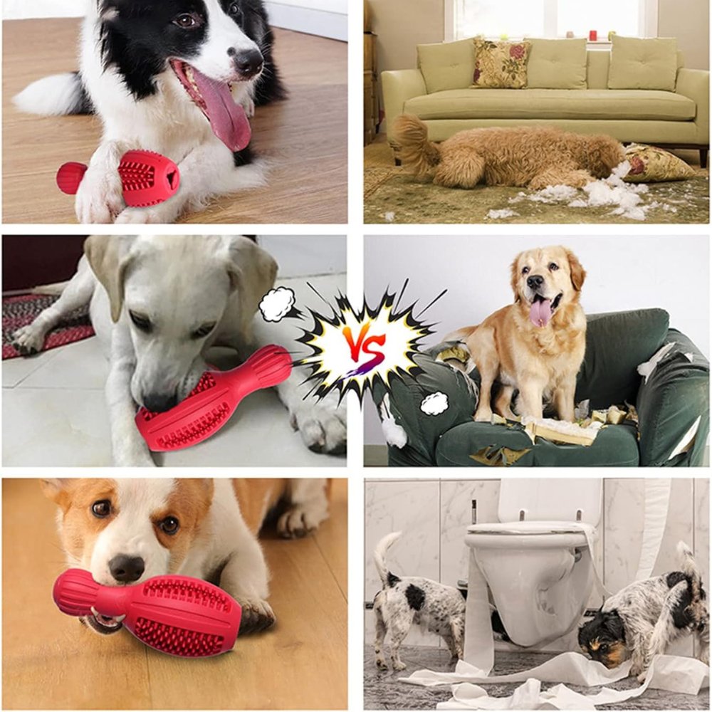 Bowling Ball Shaped Dog Chew Toy